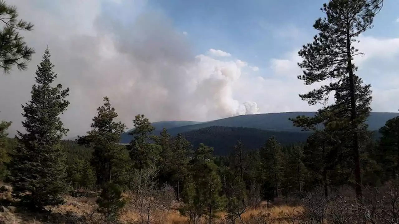 New Mexico wildfire burns 166 homes, thousands ready to evacuate