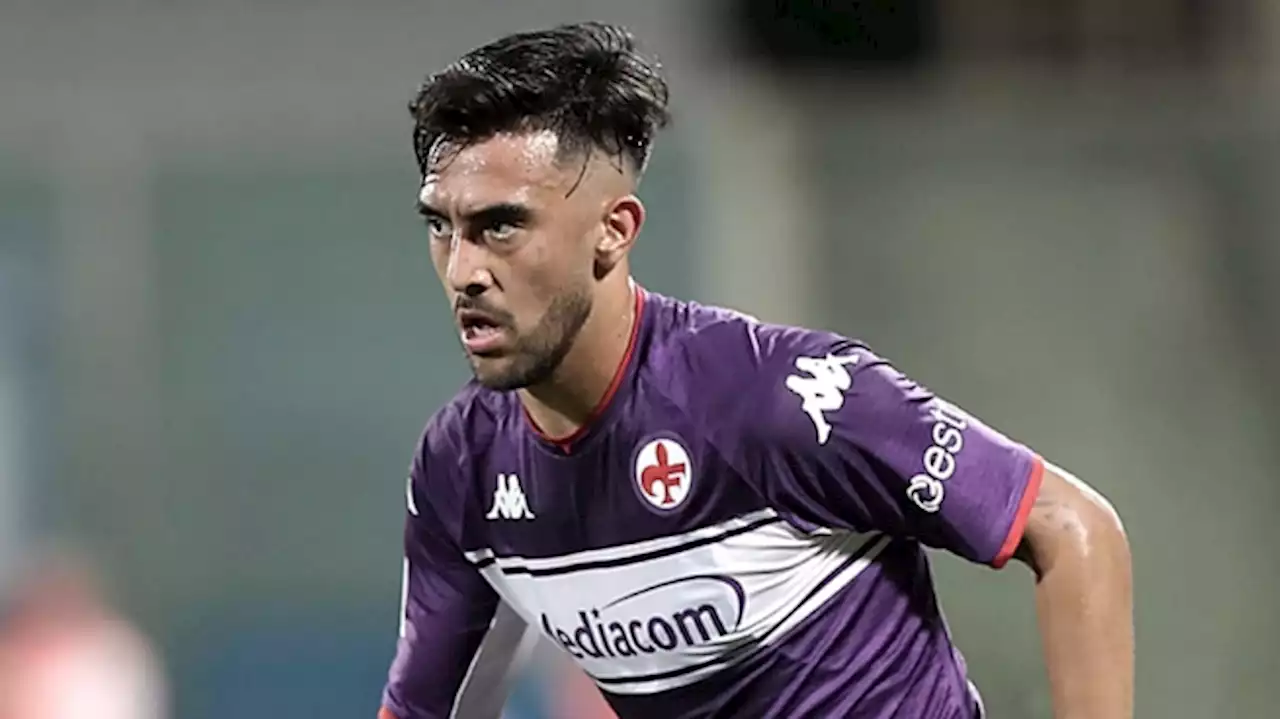 Con un cabezazo, Nicolás González le dio la victoria a Fiorentina