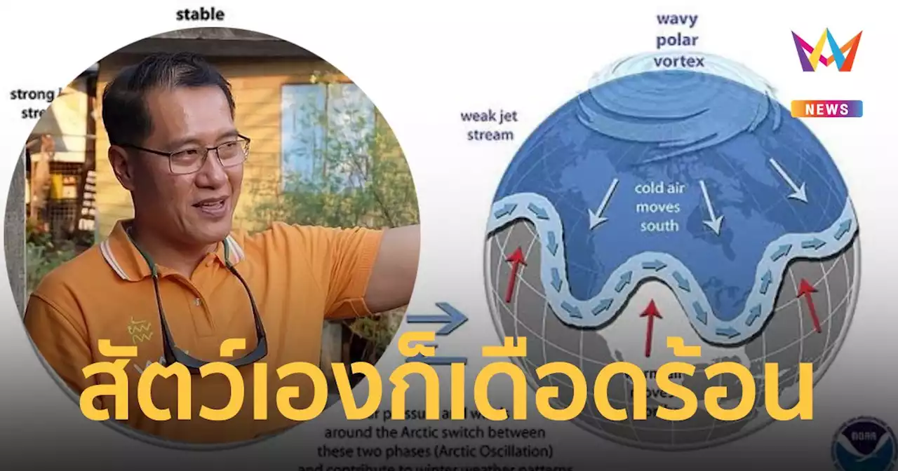 สัตว์เองก็เดือดร้อน Polar Vortex ทำอากาศแปรปรวน ไทยอากาศเปลี่ยน