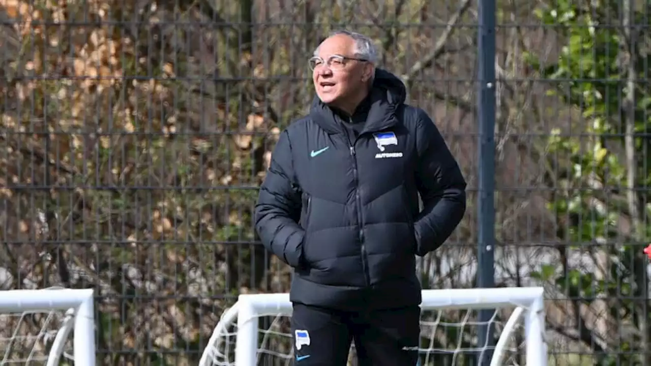 Hertha-Trainer Magath: „Ihr habt euch selbst in diese Situation gebracht, ich war das nicht“