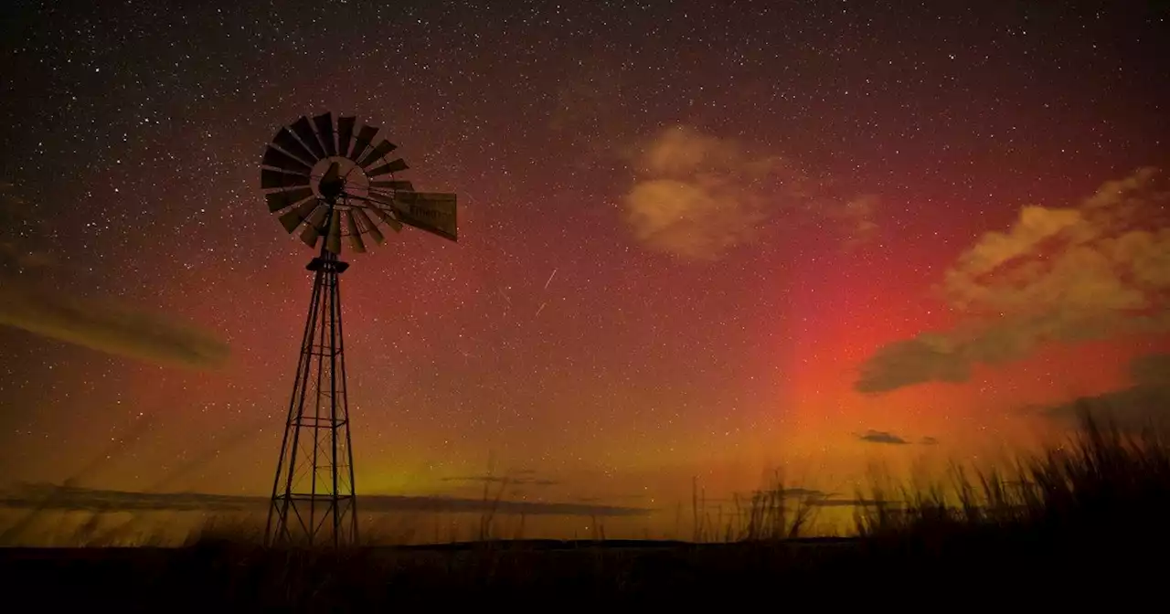 Las mejores fotografías de la semana, una selección de las imágenes más impactantes