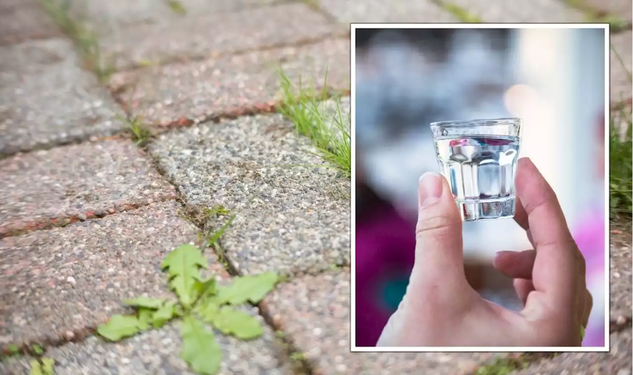 ‘Cheap and effective’: ‘Eliminate’ garden weeds within 24 hours using vodka recipe