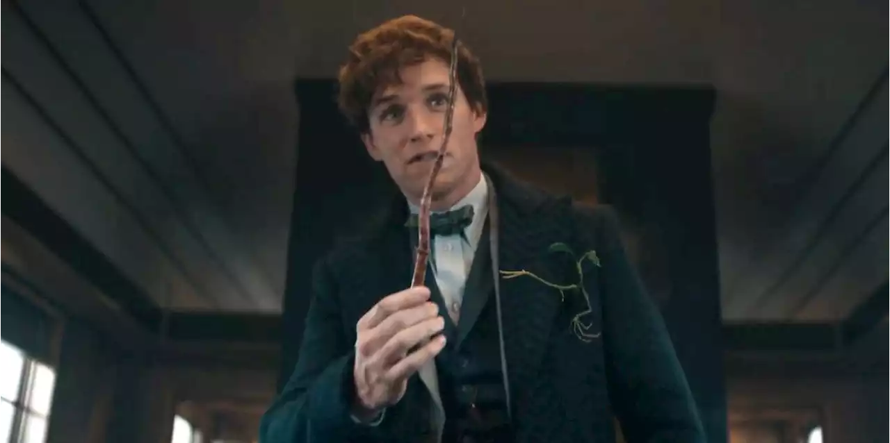 Eddie Redmayne on what he's learnt from the Fantastic Beasts series