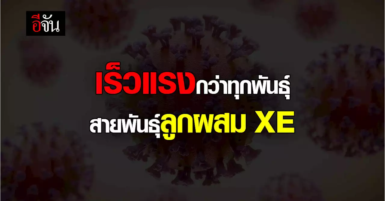 WHO เตือน โอมิครอน สายพันธุ์ลูกผสม XE แพร่เร็วกว่าทุกสายพันธุ์