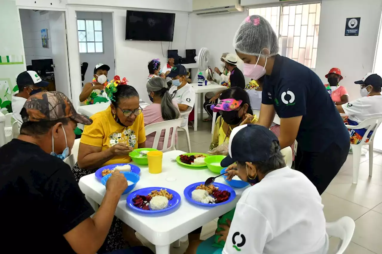 Alimentación: impacto e importancia para la tercera edad