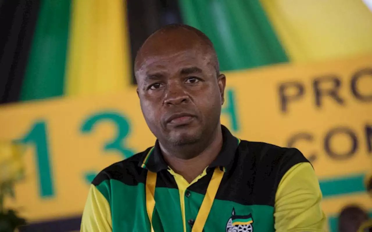 ANC Mpumalanga head Ndlovu stands by comments for Ramaphosa to serve second term