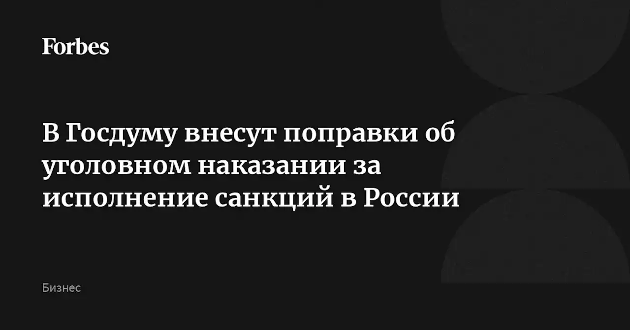 В Госдуму внесут поправки об уголовном наказании за исполнение санкций в России