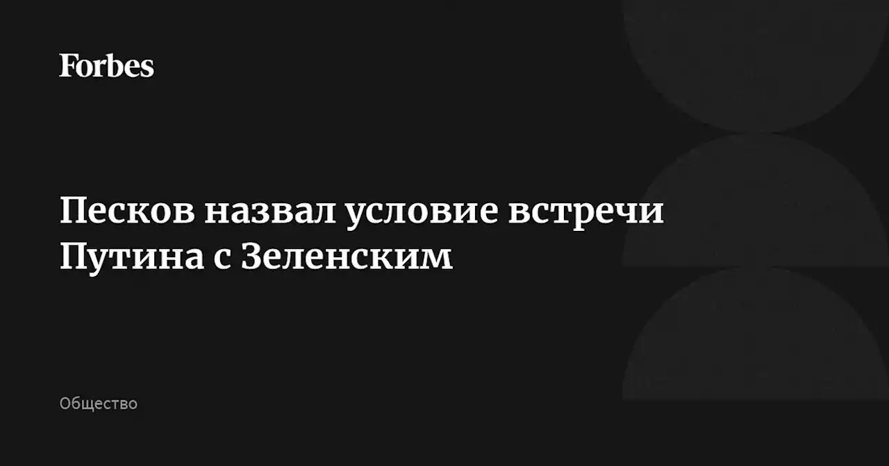 Песков назвал условие встречи Путина с Зеленским