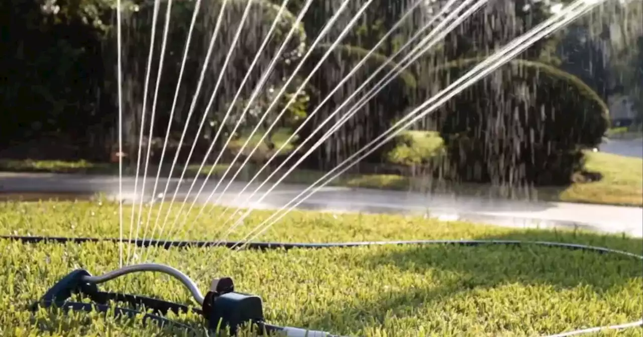 DNR: No Utahns should be watering lawns this week, except Washington County