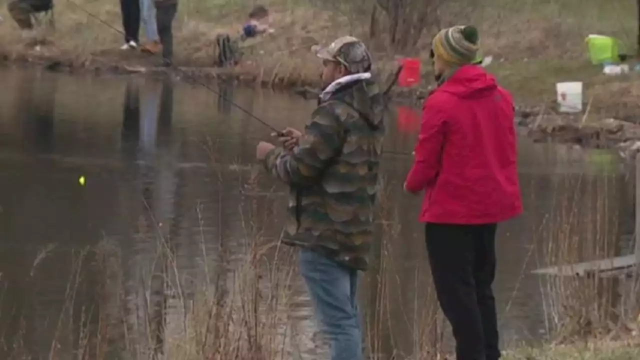 Big crowds for first day of trout fishing at Cook County Forest Preserves in suburban Chicago