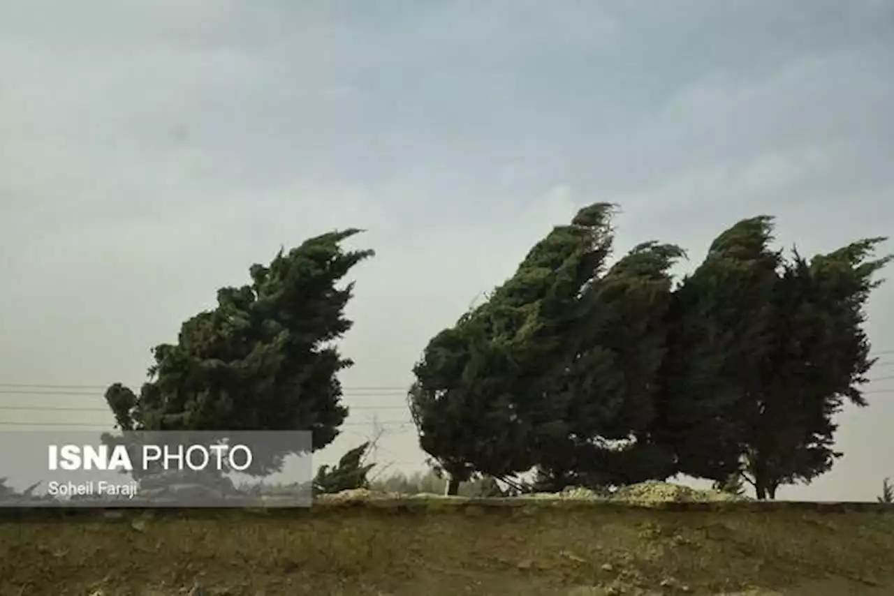 وزش باد نسبتا شدید در شمال کشور/ کاهش دما تا ۱۰ درجه