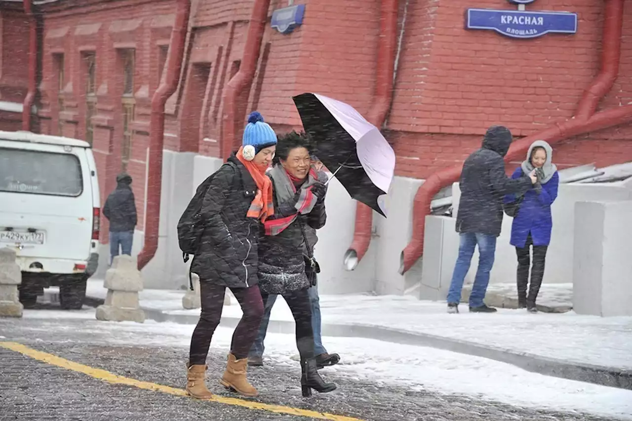 В Москве за сутки выпала половина месячной нормы осадков