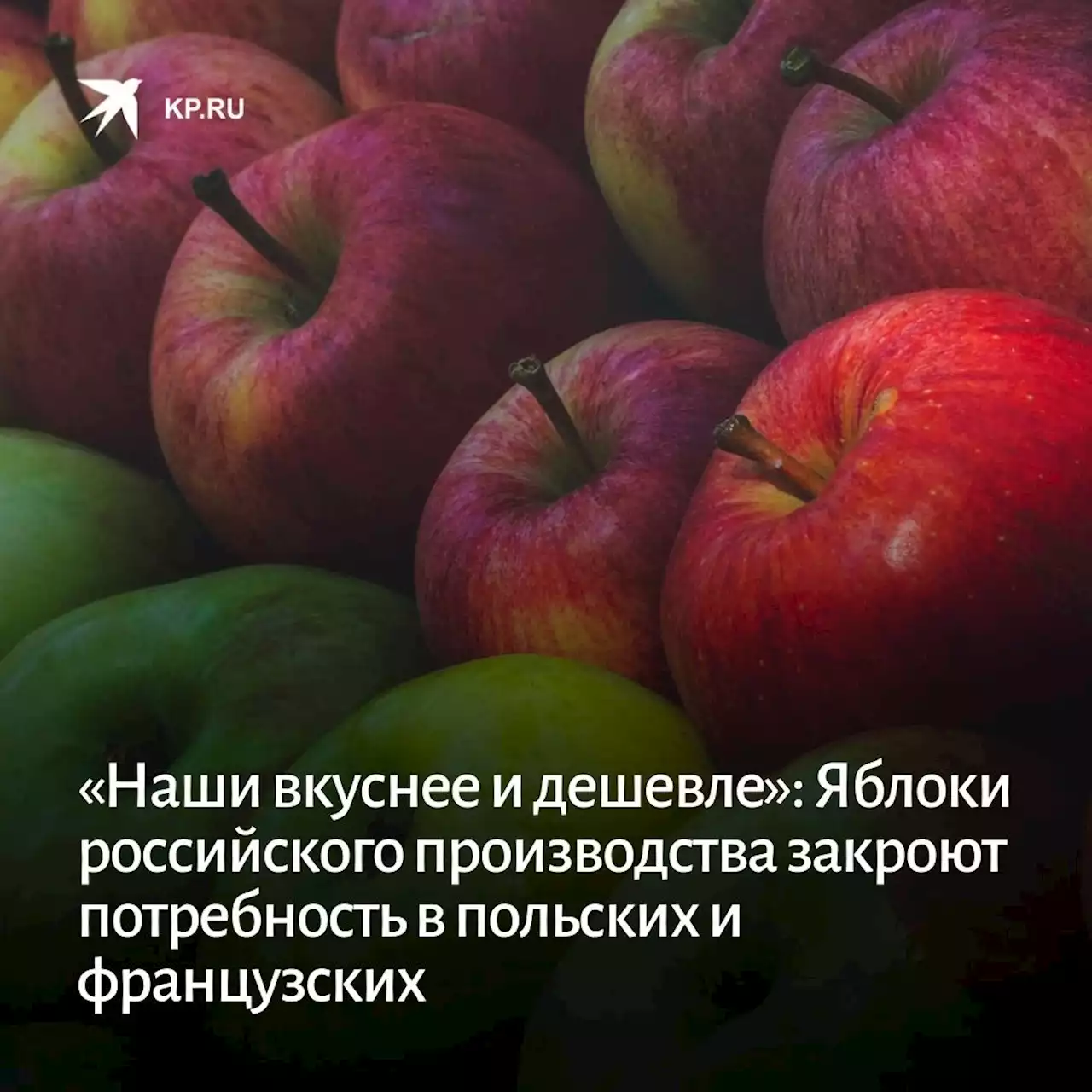 «Наши вкуснее и дешевле»: Яблоки российского производства закроют потребность в польских и французких