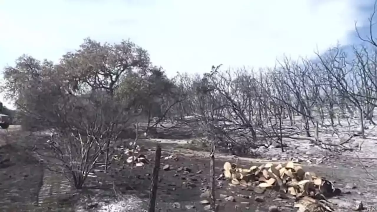 Medina County wildfire 100% contained, fire officials say