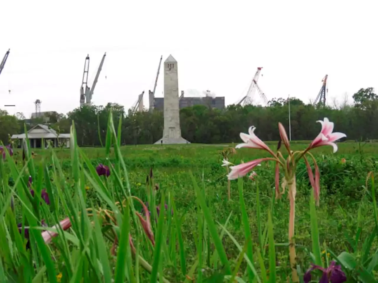 National park battlefield irises may mark razed Black homes