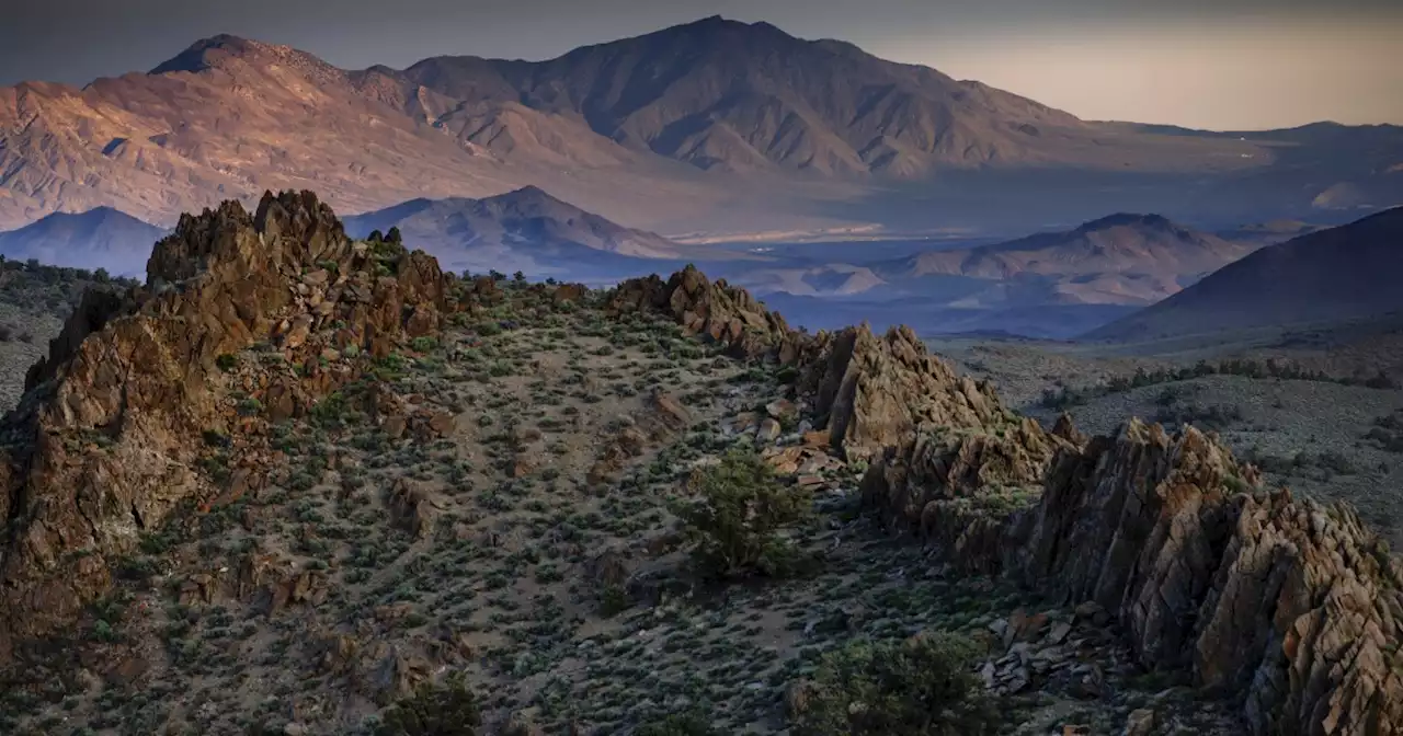 Conservationists are a step closer to keeping a 'desert island in the sky' wild forever