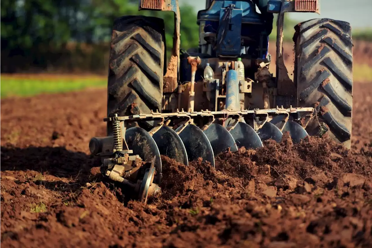 As Ukraine war hikes prices, farmers struggle to find fertiliser