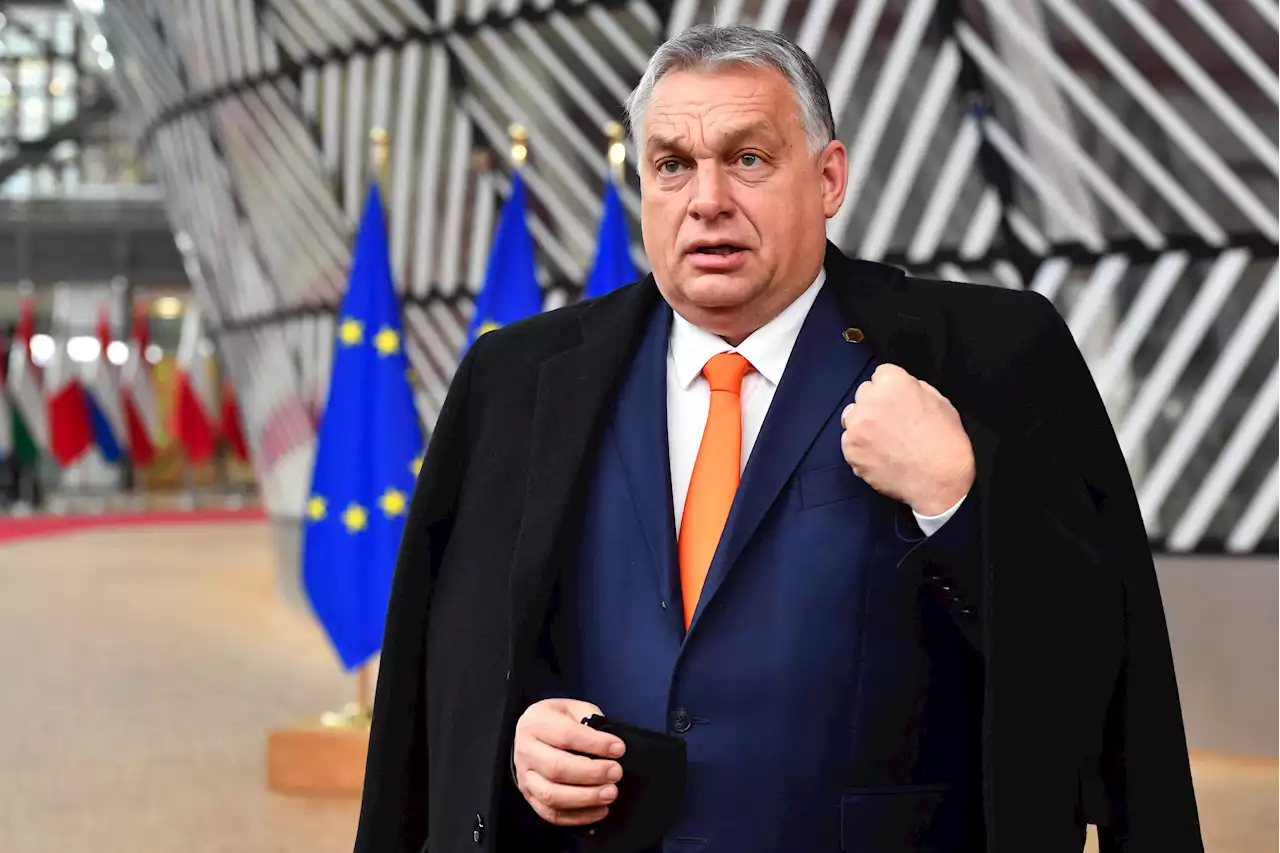 Right-Wing Prime Minister Viktor Orban Takes Early Lead in Hungary Election