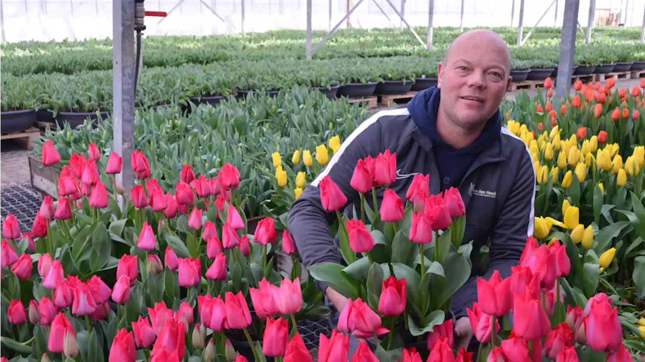 Noord-Holland groots aanwezig op Floriade Almere: 'Ik wil de tulpenpracht laten zien'