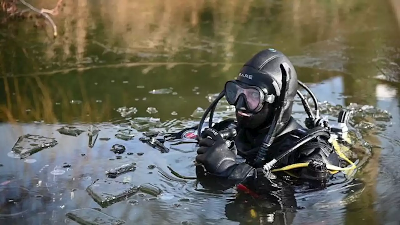 'Nederland Onder Water' geeft een uniek kijkje in de natuur in het diepe