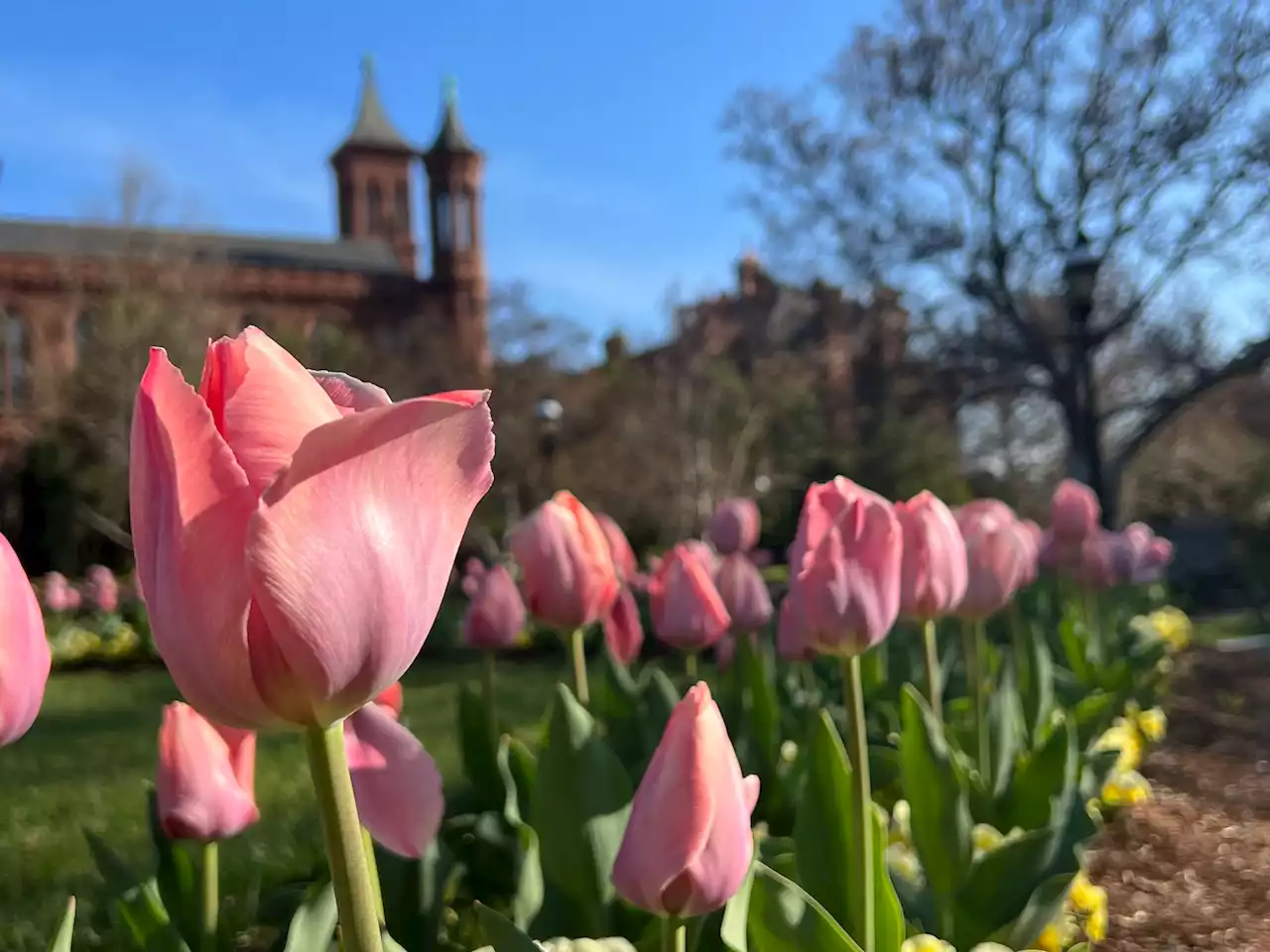 D.C.-area forecast: Some sun with a gusty wind; rain likely Tuesday