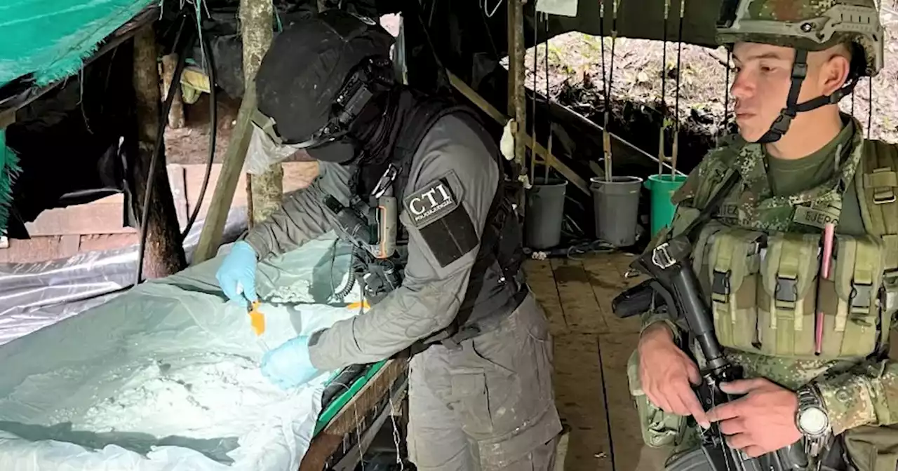 Descubren complejo narcotraficante del Eln en zona boscosa de Nariño