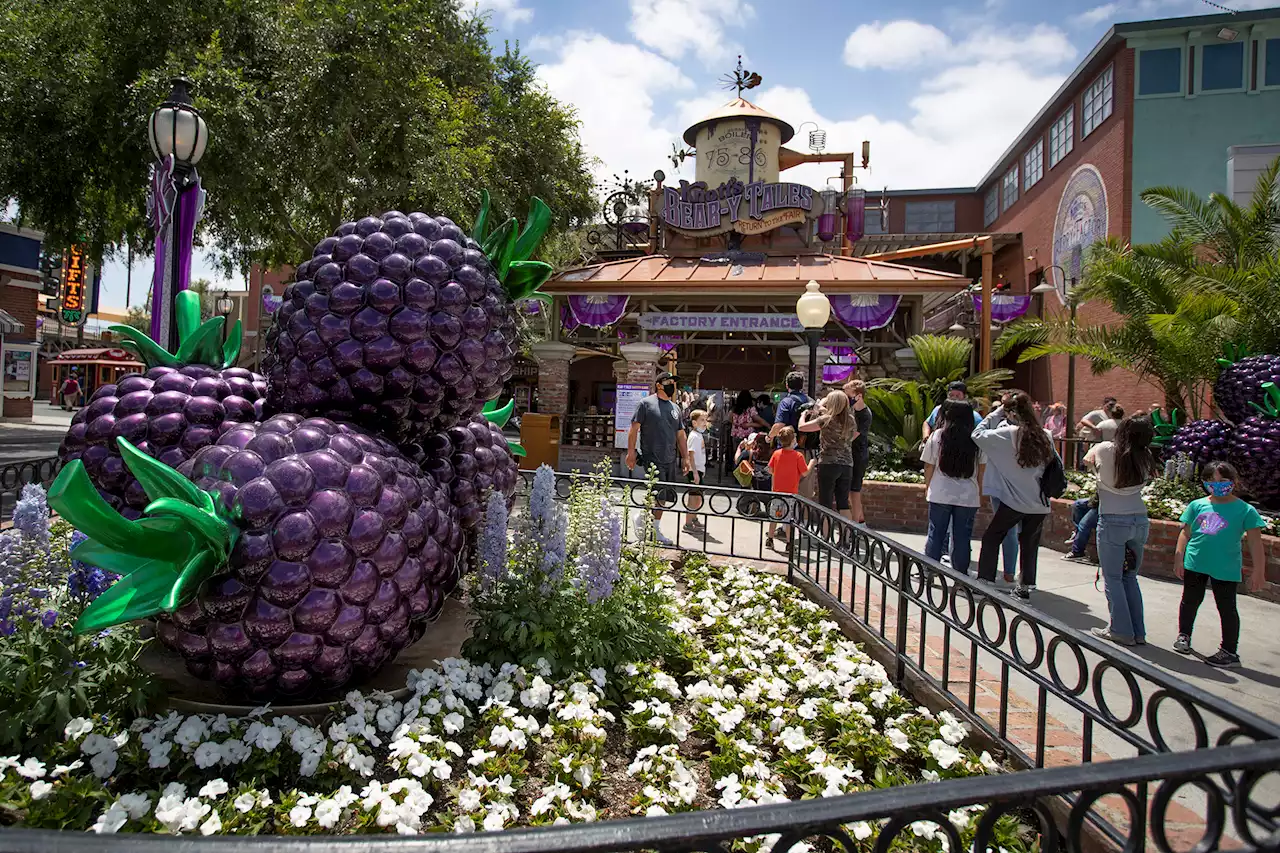 A first timer goes to California’s oldest theme park