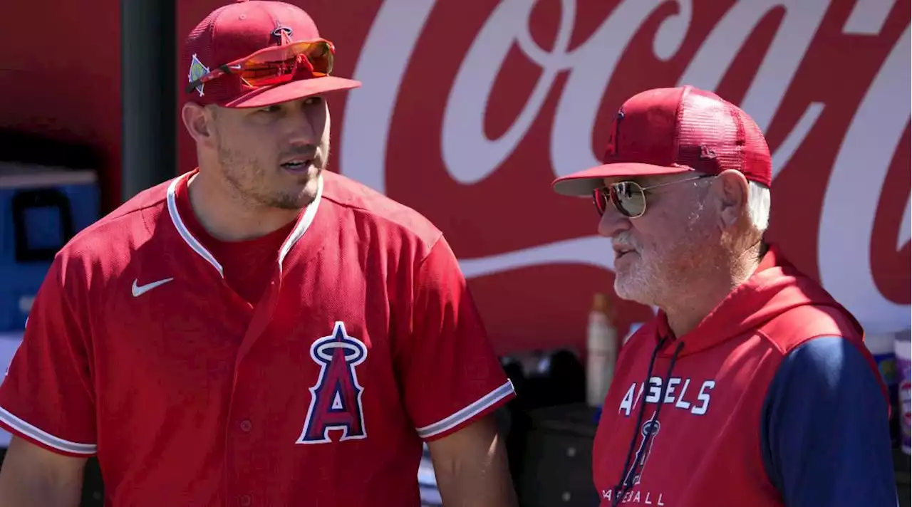 Joe Maddon Explains ‘Interesting’ Trout, Ohtani Lineup Decision