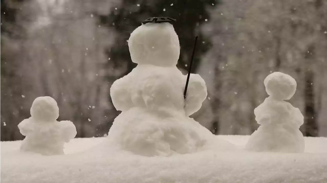 Bilder aus München: Schnee im Frühling