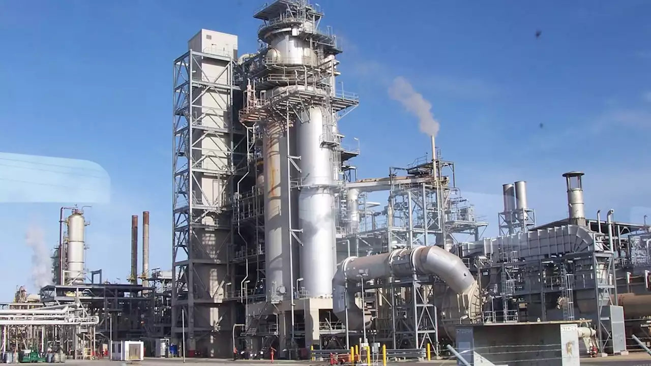Lai: Dangote refinery will put an end to petrol queues in Nigeria