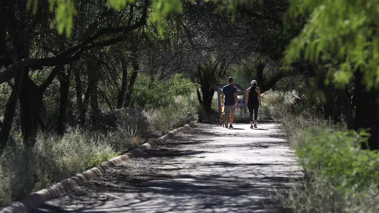 Missing Links Park? Oro Valley launches contest to name preserve