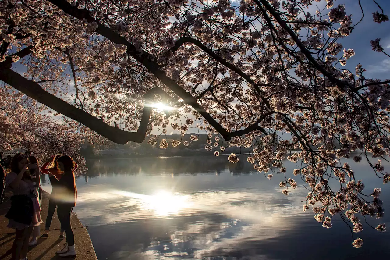 March was warmer than normal in D.C., with a dash of snow