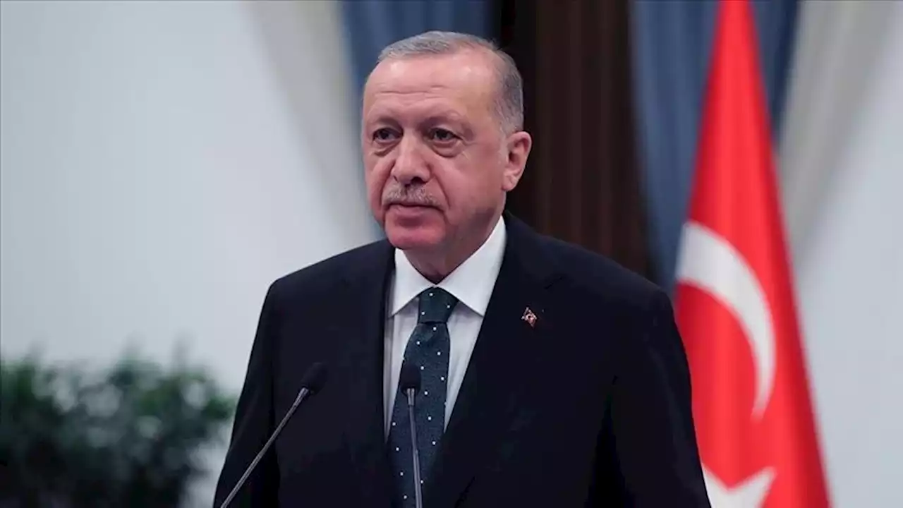 گفت‌وگوی تلفنی اردوغان با پادشاه عمان و امیر قطر