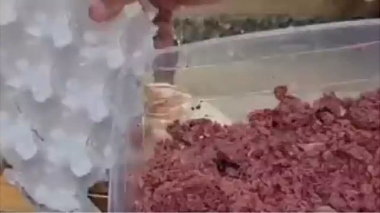فيديو كارثي في مصر.. حواوشي ولحمة من كراتين البيض