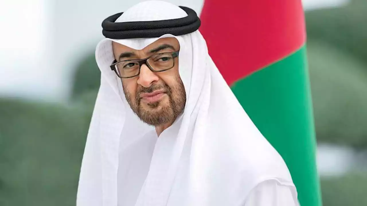 محمد بن زايد يبحث مع رئيس مجلس القيادة الرئاسي اليمني العلاقات الثنائية | صحيفة الخليج
