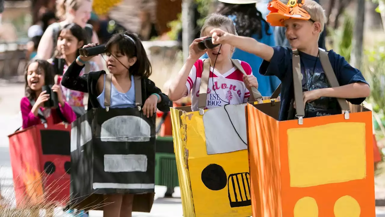 Día del Niño 2022: Phoenix Zoo celebrates children with piñatas, lotería and more