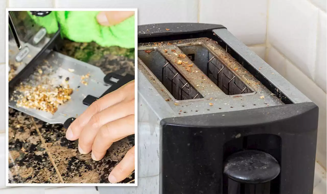 64% of Brits not cleaning inside their toaster enough - risk of 'bacteria and bugs'