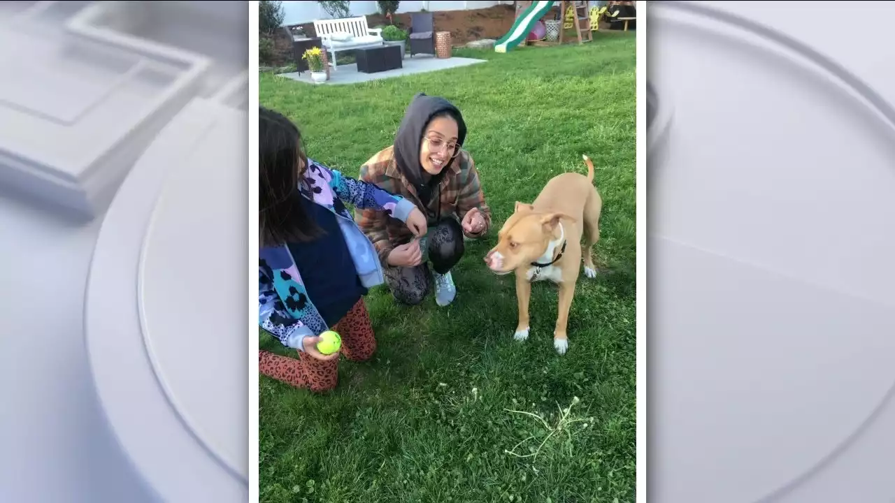 Philadelphia family adopts dog of terminally ill Philadelphia woman