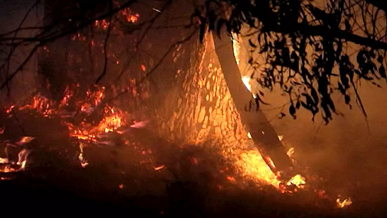 Firefighters Battle At Least 2 Suspicious Brush Fires Near Martinez