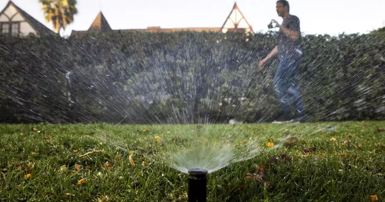 To survive drought, parts of SoCal must cut water use by 35%. The new limit: 80 gallons a day