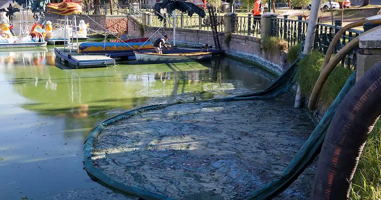 Contaminación cloacal: la causa judicial que investiga el impacto en el río Suquía suma el deterioro del lago San Roque | Ciudadanos | La Voz del Interior