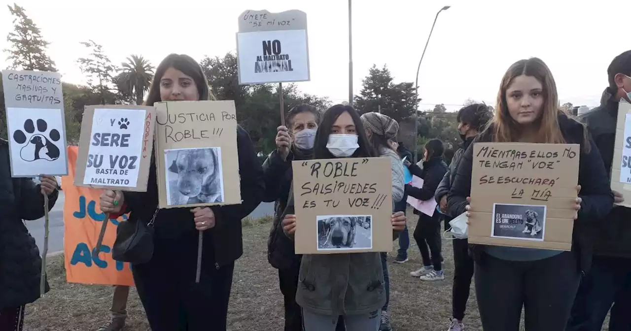 Día del Animal: Sierras Chicas marcha en contra del maltrato | Ciudadanos | La Voz del Interior