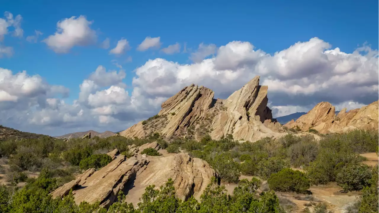 A Free Family Fest Will Flower at Vasquez Rocks