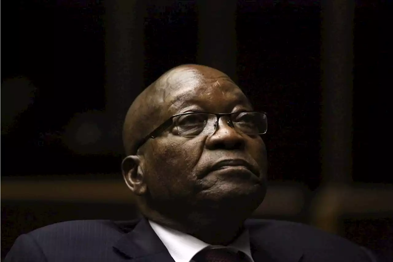 Zuma, a man of weak character, turned against his own country and its people, says Zondo in state capture report | News24