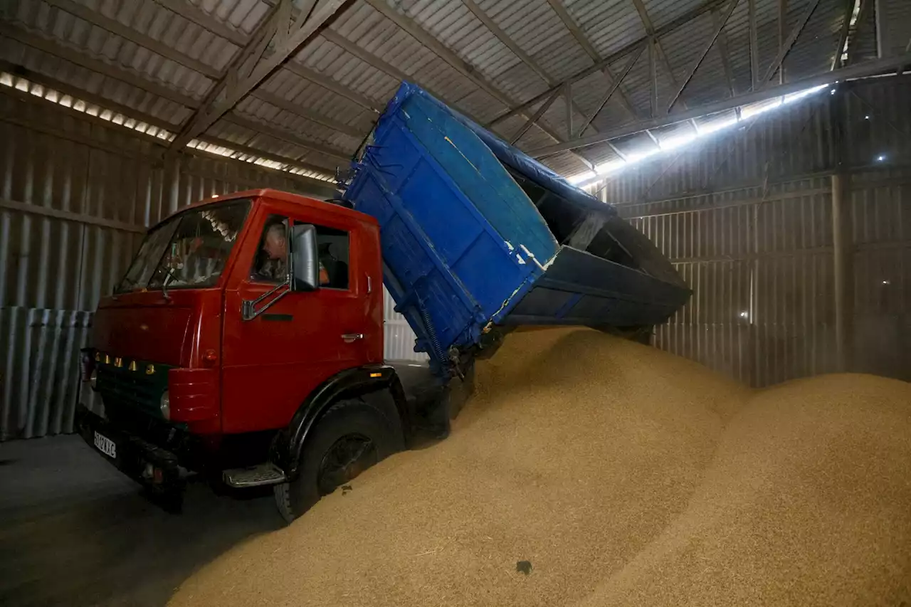 Ukraine says Russia stole 'several hundred thousand tons' of grain