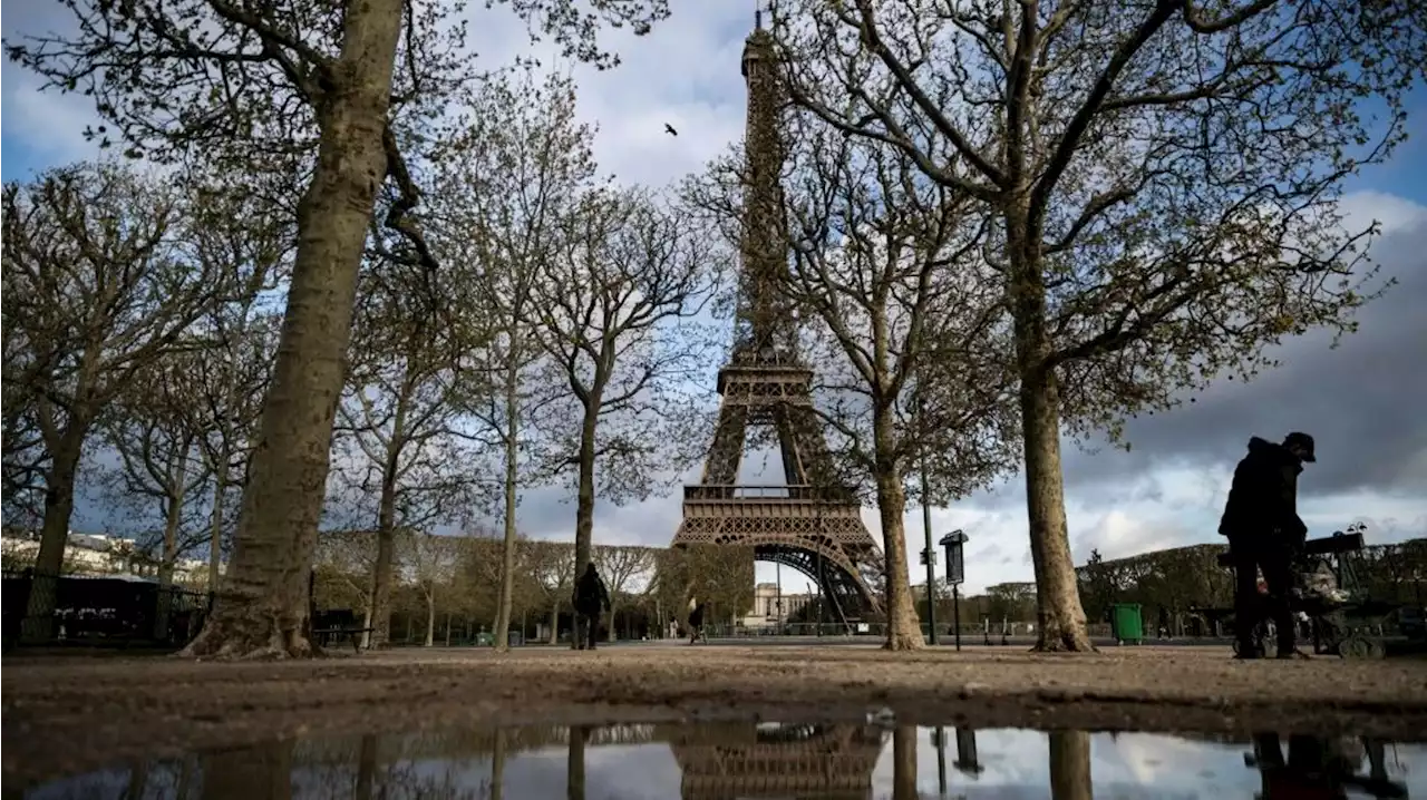 Vive polémique en France après l'annonce du projet de la ville de Paris d'abattre les arbres au pied de la Tour Eiffel