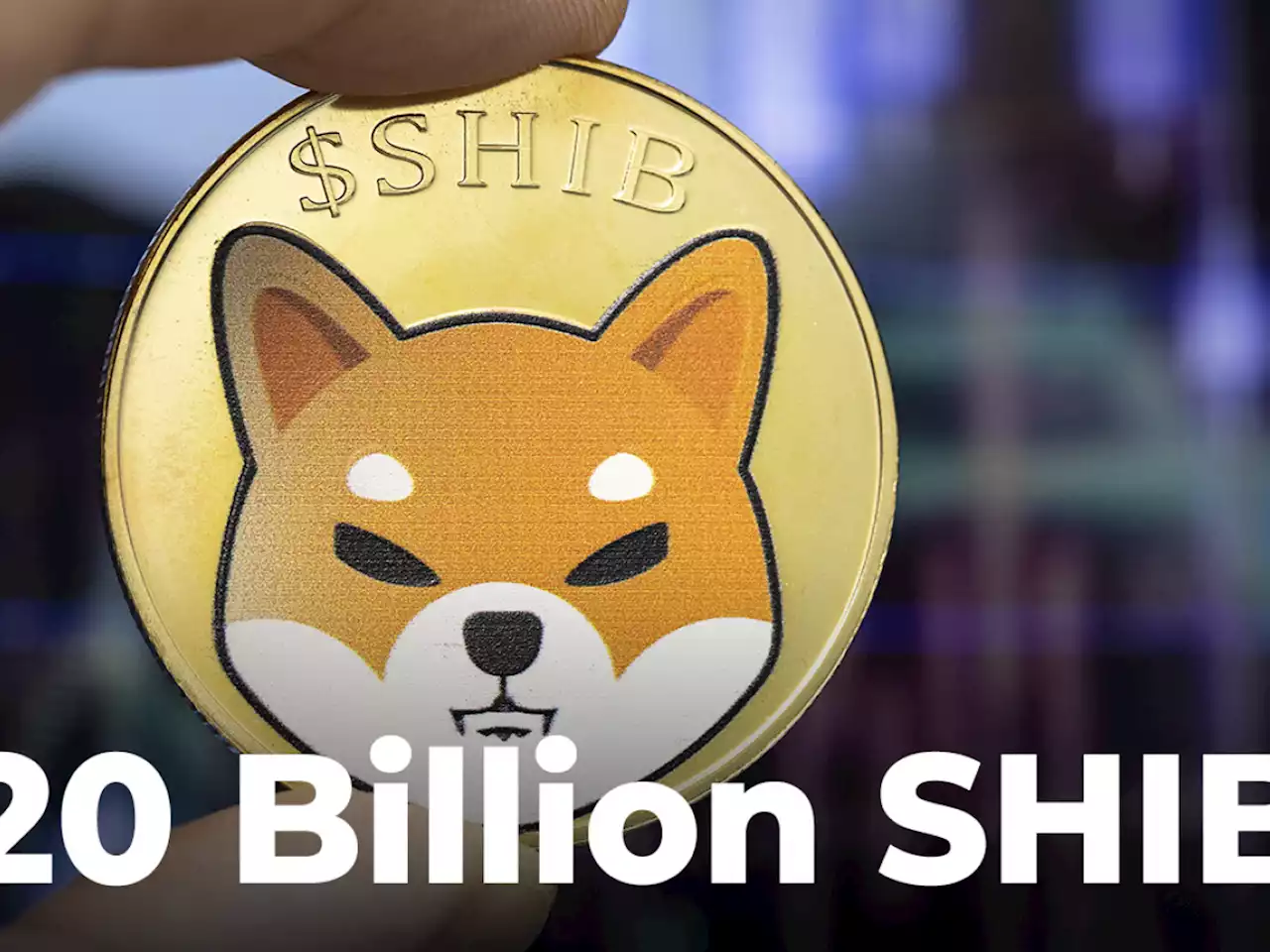 Shiba Inu Burn Portal Records More Than 20 Billion SHIB Burned Less Than Week After Launch