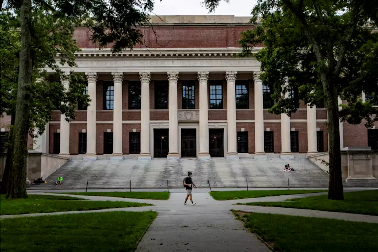 Harvard releases plan to 'make amends' for extensive ties to slavery