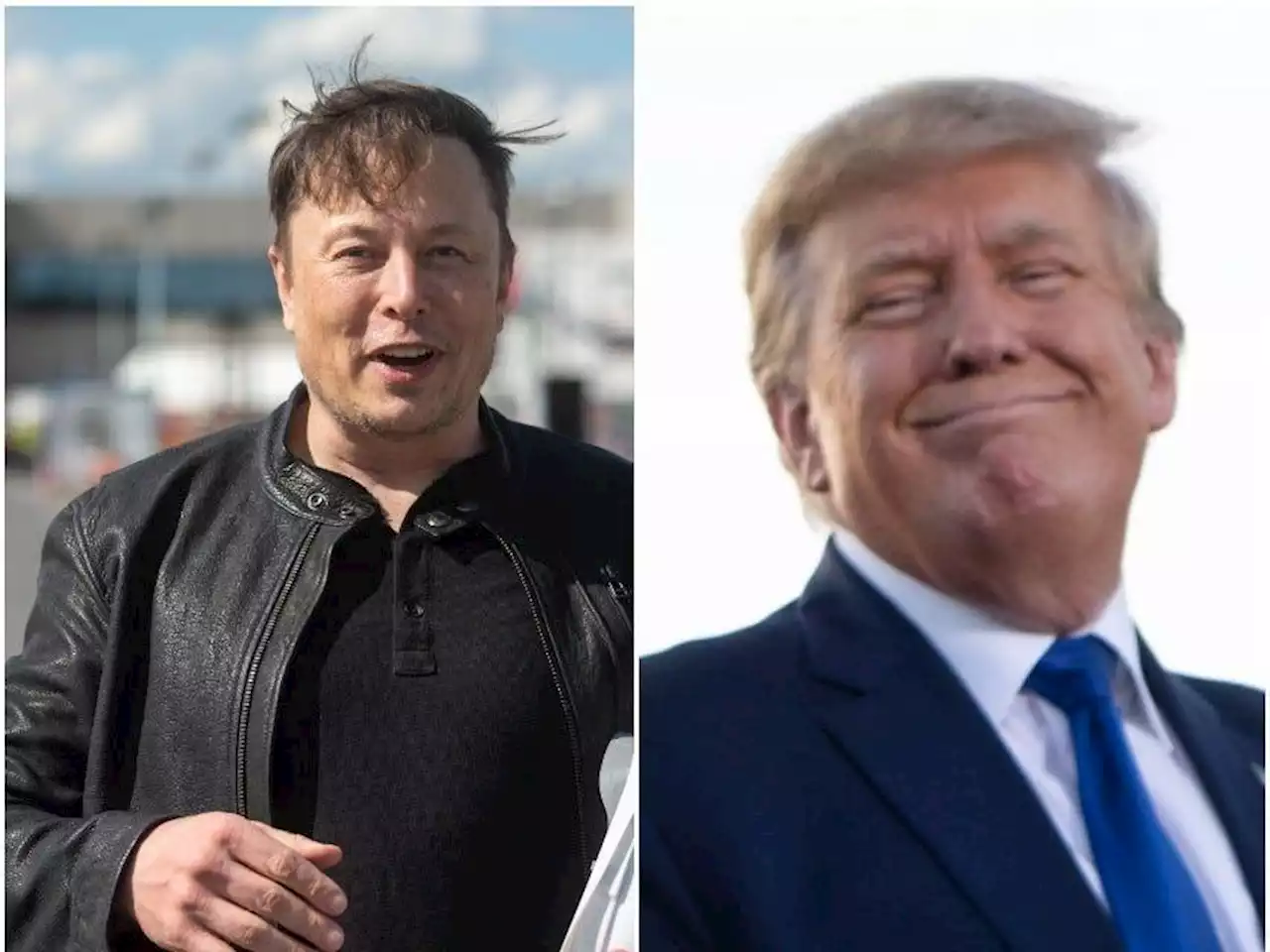 Elon Musk is dismayed that Donald Trump is still barred from Twitter, a report says