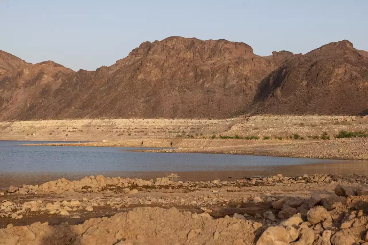 Western states fret as Lake Mead continues to shrink due to drought, climate change